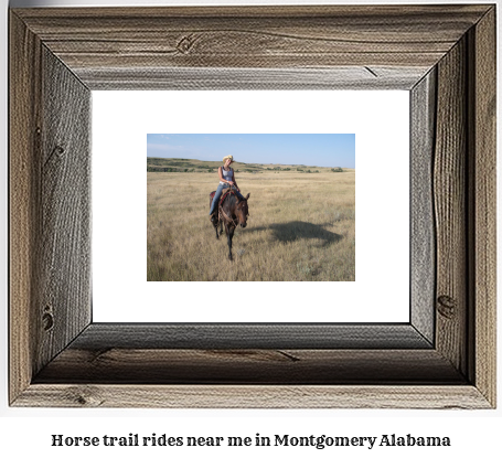 horse trail rides near me in Montgomery, Alabama